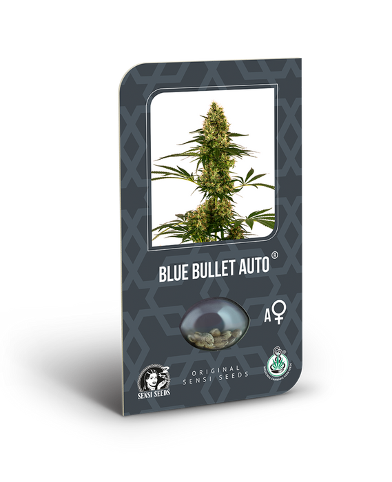 Blue Bullet Auto