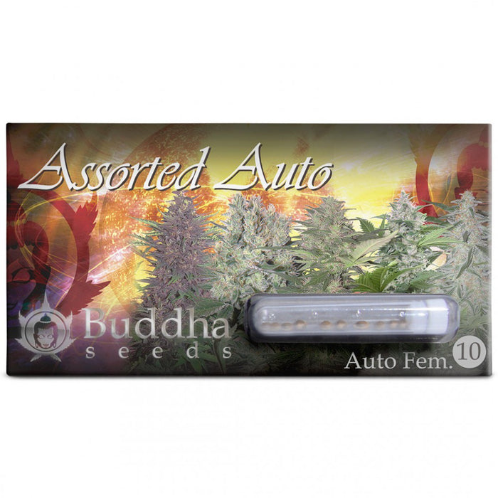 Assorted Auto