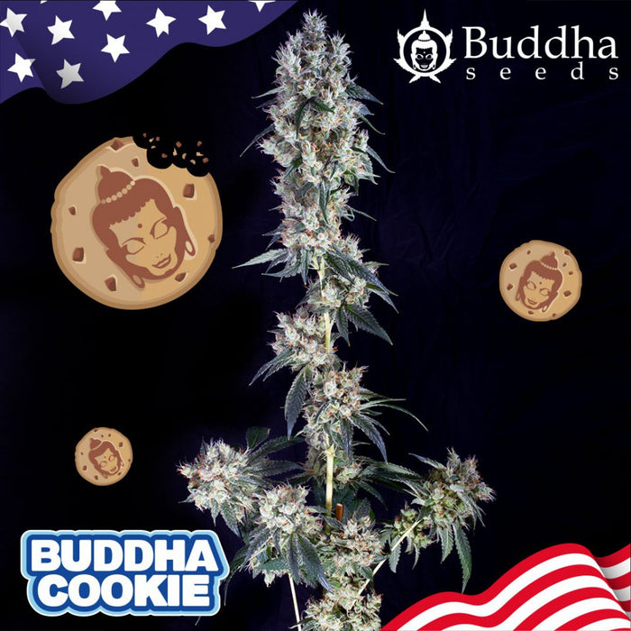 Buddha Cookies