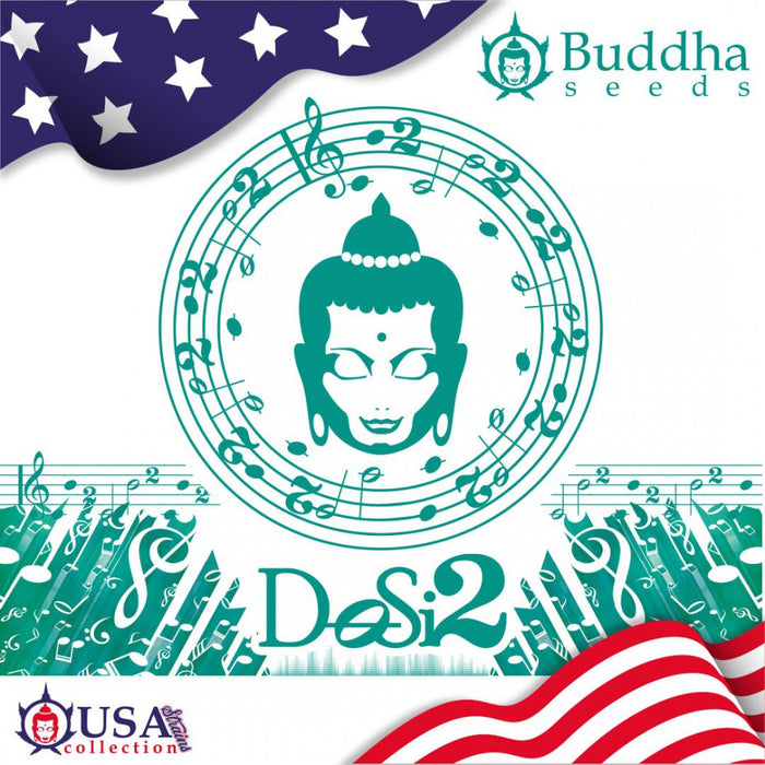 Buddha Dosi2