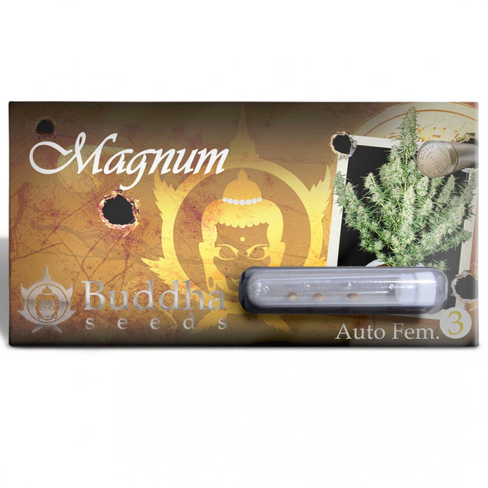 Magnum Auto