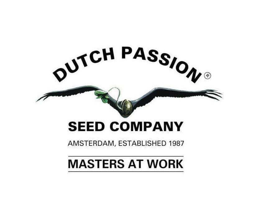 Dutch Passion