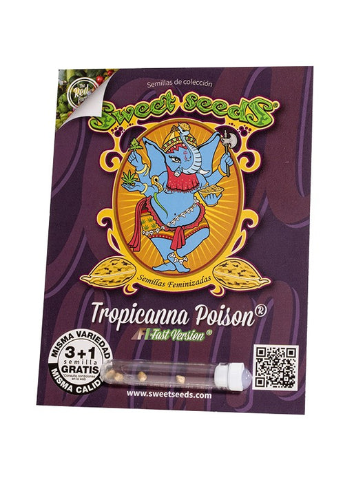 Tropicanna Poison F1 Fast Version